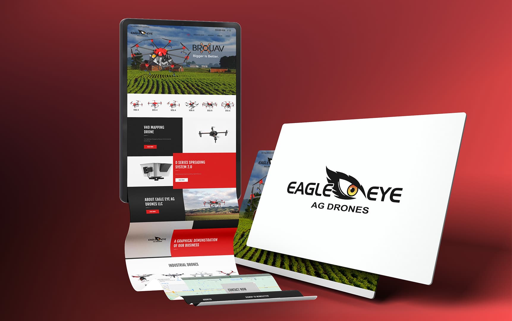 Eagle Eye project image