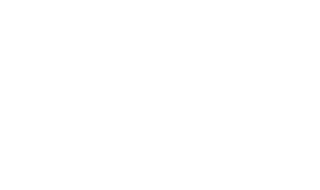 VX Logo