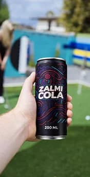 Zalmi 3-1